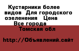 Кустарники более 100 видов. Для городского озеленения › Цена ­ 70 - Все города  »    . Томская обл.